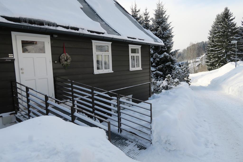 Horska Chata U Vleku Рокитніце-над-Їзероу Екстер'єр фото